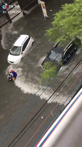 Những hình ảnh hiếm thấy trên đường phố sau trận ngập lụt kinh hoàng tại miền Bắc - Ảnh 5.