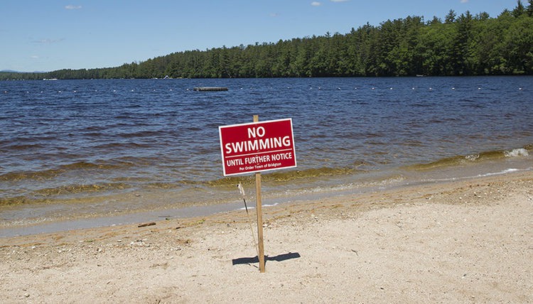 Gần 100 người đi bơi ở bãi biển bị nhiễm loại virus này: Lời cảnh báo dành cho cả những người đi bơi ở bể bơi - Ảnh 2.