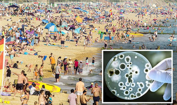 Gần 100 người đi bơi ở bãi biển bị nhiễm loại virus này: Lời cảnh báo dành cho cả những người đi bơi ở bể bơi - Ảnh 1.