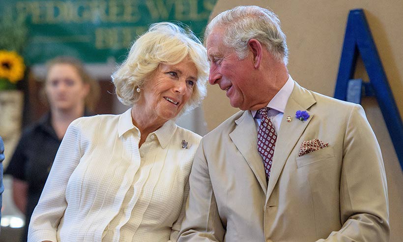 Hoàng tử Harry lần đầu lên tiếng về mẹ kế Camilla: Bà ấy là người phụ nữ tuyệt vời và làm cho cha tôi hạnh phúc - Ảnh 2. Hoàng tử Harry lần đầu lên tiếng về mẹ kế Camilla: Bà ấy là người phụ nữ tuyệt vời và làm cho cha tôi hạnh phúc - Ảnh 2.