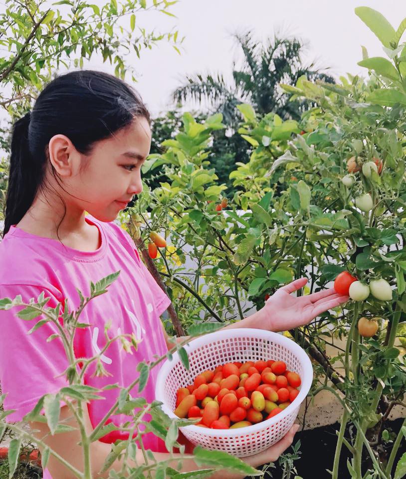 Con gái rượu của MC Quyền Linh: Càng lớn càng xinh, được dự đoán là hoa hậu tương lai - Ảnh 8. Con gái rượu của MC Quyền Linh: Càng lớn càng xinh, được dự đoán là hoa hậu tương lai - Ảnh 8.