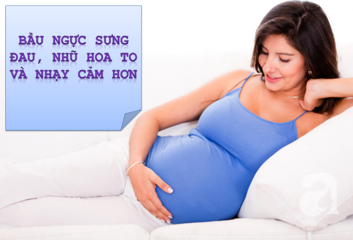 Chưa chắc mẹ bầu đã biết hết những thay đổi từ đầu đến chân của cơ thể khi mang thai - Ảnh 1. Chưa chắc mẹ bầu đã biết hết những thay đổi từ đầu đến chân của cơ thể khi mang thai - Ảnh 1.