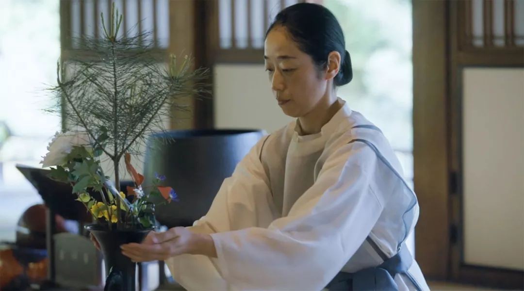 Sau 10 năm ẩn dật, người phụ nữ Nhật Bản trở thành kho báu quốc gia khi được mọi người mệnh danh là bậc thầy cắm hoa - Ảnh 16.