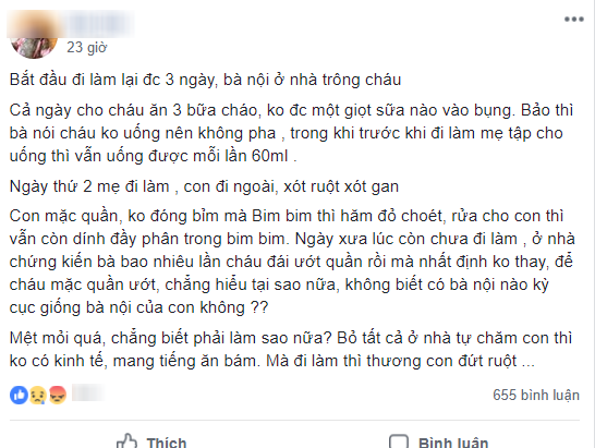 Đi làm để bà nội chăm cháu, mẹ trẻ về kêu trời vì bà bẩn, không biết chăm, khiến chị em giận dữ: Không thích thì ở nhà mà chăm - Ảnh 1.