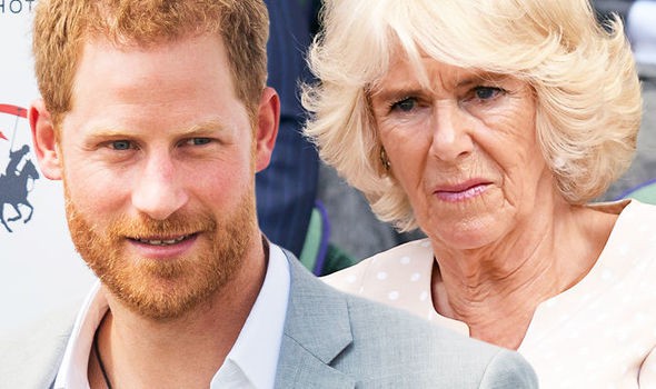 Hoàng tử Harry lần đầu lên tiếng về mẹ kế Camilla: Bà ấy là người phụ nữ tuyệt vời và làm cho cha tôi hạnh phúc - Ảnh 1. Hoàng tử Harry lần đầu lên tiếng về mẹ kế Camilla: Bà ấy là người phụ nữ tuyệt vời và làm cho cha tôi hạnh phúc - Ảnh 1.