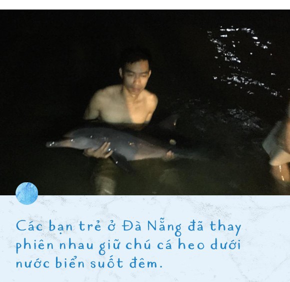 Ba ngày kỳ diệu của Lucky - Em bé cá heo bị thương trôi dạt vào bờ biển và hồi sinh nhờ những người tử tế - Ảnh 4.