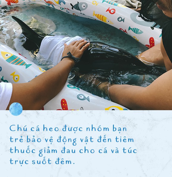 Ba ngày kỳ diệu của Lucky - Em bé cá heo bị thương trôi dạt vào bờ biển và hồi sinh nhờ những người tử tế - Ảnh 9.