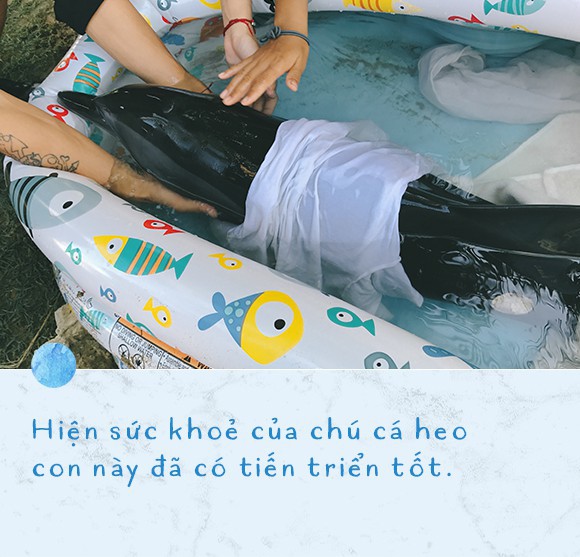 Ba ngày kỳ diệu của Lucky - Em bé cá heo bị thương trôi dạt vào bờ biển và hồi sinh nhờ những người tử tế - Ảnh 11.