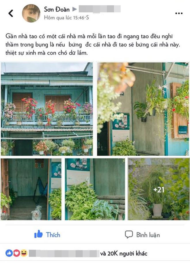 Chỉ vài ngày sau khi nổi tiếng trên MXH, ngôi nhà mơ ước ở An Giang bất ngờ bị trộm mất hàng chục chậu cây - Ảnh 2.