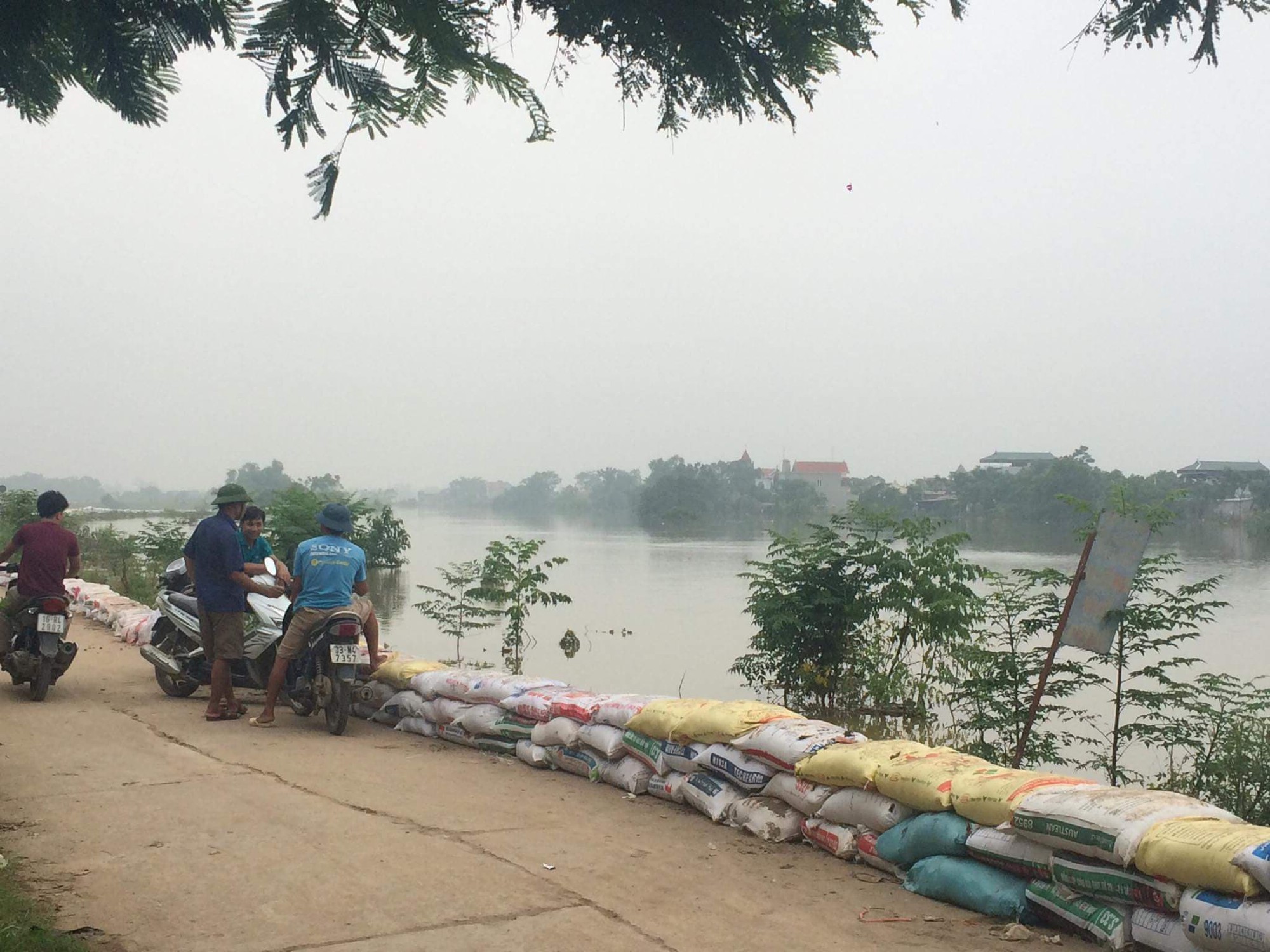 Hà Nội: Sẵn sàng di dời 14.000 hộ dân khi có nguy cơ lũ lụt đe dọa đê tả Bùi - Ảnh 2.