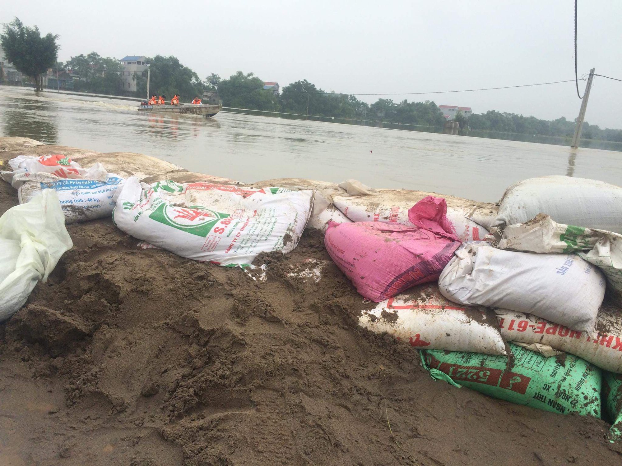 Hà Nội: Sẵn sàng di dời 14.000 hộ dân khi có nguy cơ lũ lụt đe dọa đê tả Bùi - Ảnh 3.