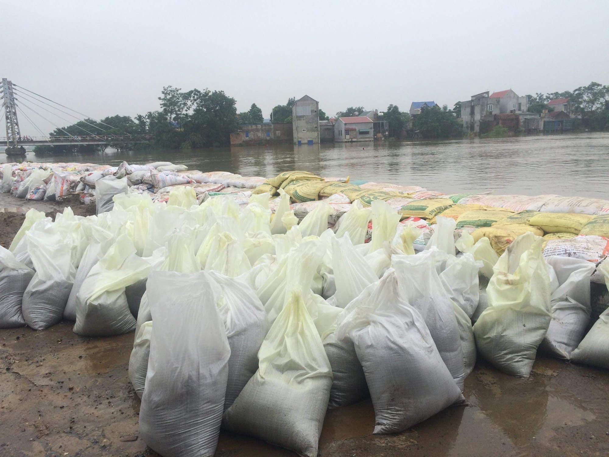 Hà Nội: Sẵn sàng di dời 14.000 hộ dân khi có nguy cơ lũ lụt đe dọa đê tả Bùi - Ảnh 4.