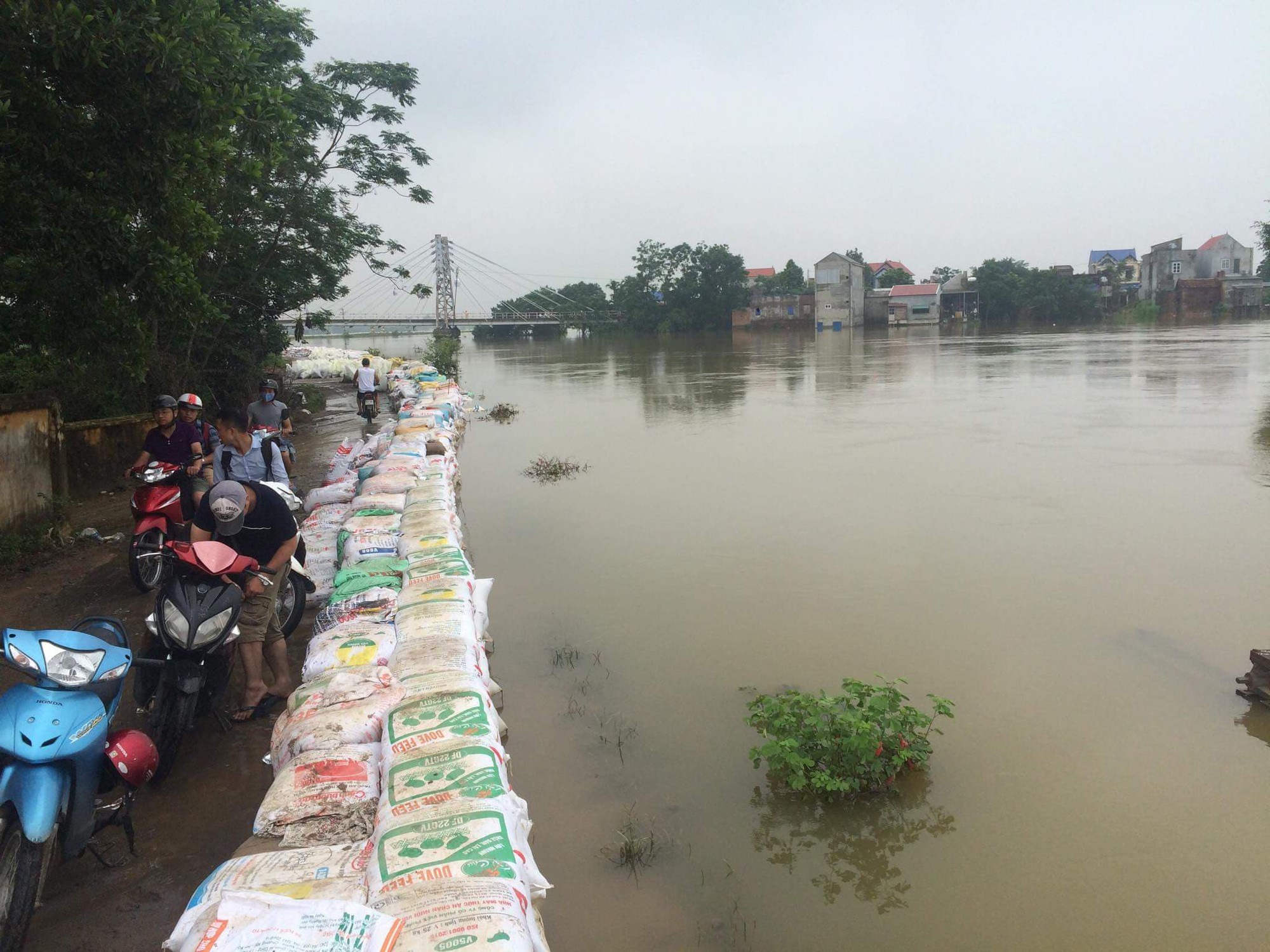 Hà Nội: Sẵn sàng di dời 14.000 hộ dân khi có nguy cơ lũ lụt đe dọa đê tả Bùi - Ảnh 5.