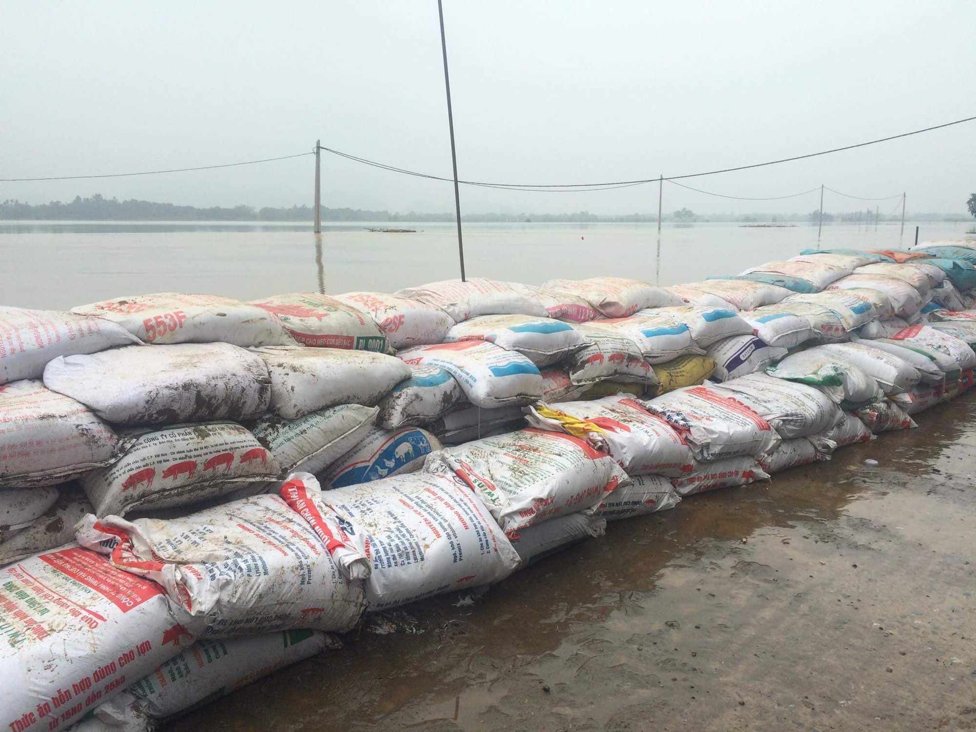 Hà Nội: Sẵn sàng di dời 14.000 hộ dân khi có nguy cơ lũ lụt đe dọa đê tả Bùi - Ảnh 7.