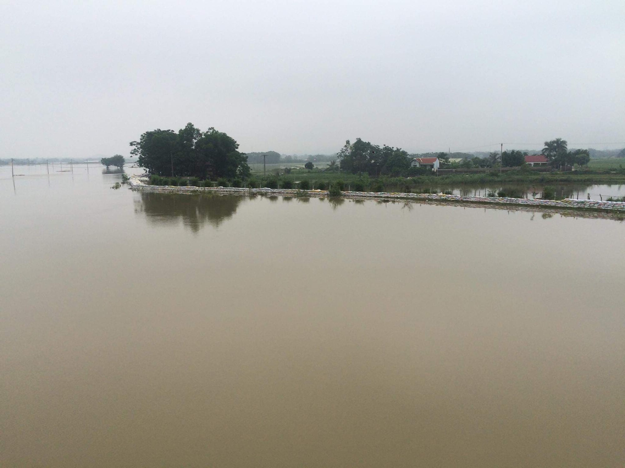 Hà Nội: Sẵn sàng di dời 14.000 hộ dân khi có nguy cơ lũ lụt đe dọa đê tả Bùi - Ảnh 8.