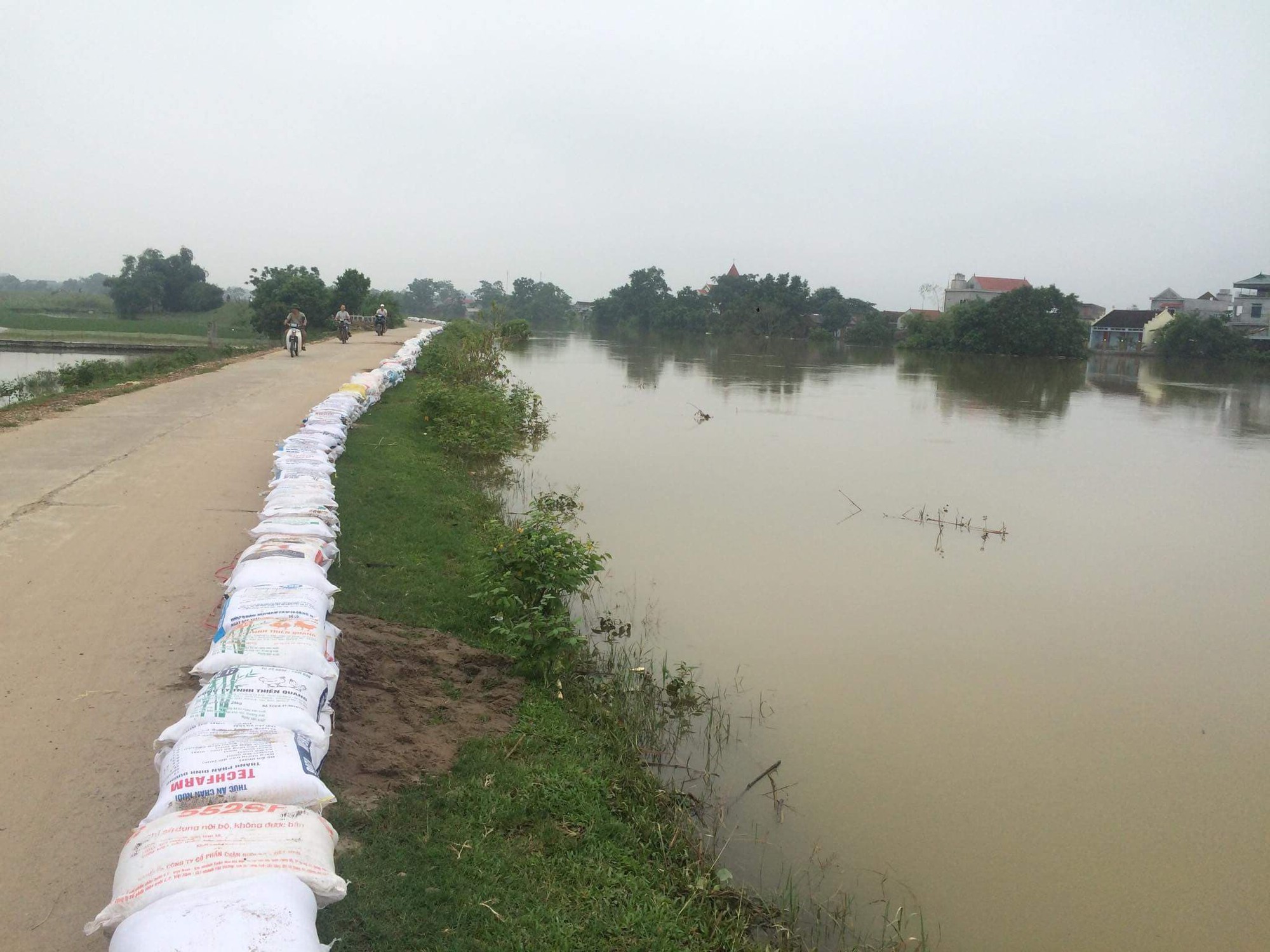 Hà Nội: Sẵn sàng di dời 14.000 hộ dân khi có nguy cơ lũ lụt đe dọa đê tả Bùi - Ảnh 9.