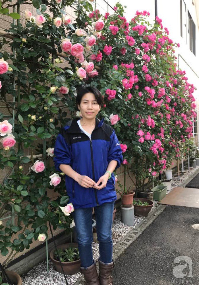 Bức tường hoa hồng đẹp như mơ trong sân vườn vỏn vẹn 6m² của người phụ nữ bỏ ra 5 năm miệt mài chăm sóc - Ảnh 2.