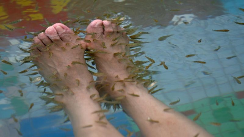 Chăm sóc chân bằng cách sử dụng cá massage, cô gái trẻ bị rụng sạch cả móng - Ảnh 1.