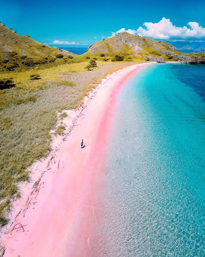 Bạn đã bao giờ thử tận hưởng sự yên tĩnh và tuyệt vời khi đặt chân đến bãi biển cát màu hồng tuyệt đẹp chưa? Hãy cùng nhau tận hưởng khoảnh khắc tuyệt vời này với hình ảnh đẹp nhất cho bộ sưu tập của bạn!