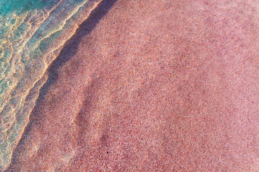 Tận hưởng nắng và gió biển trên bờ cát màu hồng tuyệt đẹp và thu hút mọi ánh nhìn.
