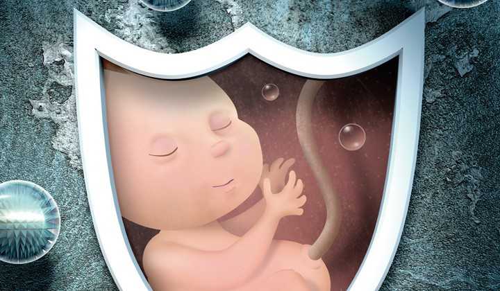 Hóa ra từ khi còn nằm trong bụng, thai nhi và mẹ đã có những mối liên kết kỳ diệu đến thế này - Ảnh 3.