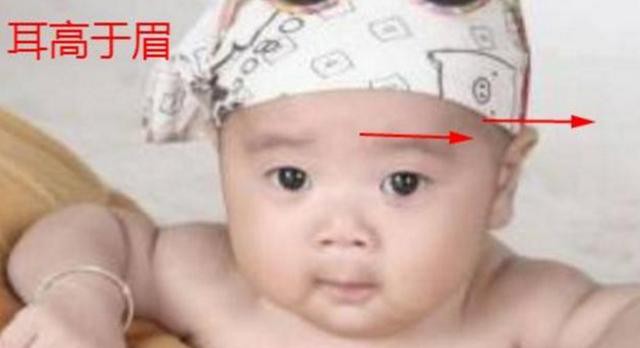 Nhìn diện mạo đoán đứa trẻ sinh ra đã thông minh, tài giỏi, lớn lên không thành rồng cũng thành phượng - Ảnh 1. Nhìn diện mạo đoán đứa trẻ sinh ra đã thông minh, tài giỏi, lớn lên không thành rồng cũng thành phượng - Ảnh 1.