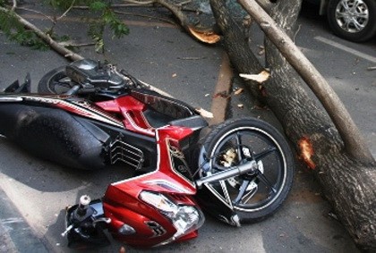 Trung Quốc: Thầy giáo bị cây đổ đè ngang người, hàng chục nữ sinh bất chấp mưa bão chạy ra cứu thầy - Ảnh 2. Trung Quốc: Thầy giáo bị cây đổ đè ngang người, hàng chục nữ sinh bất chấp mưa bão chạy ra cứu thầy - Ảnh 2.