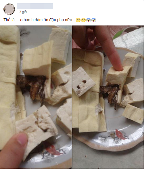 Có khi nào giữa mùa hè hầm hập, nhai miếng đậu cũng vấp phải chú gián khô như này thì chị em tính sao? - Ảnh 1. Có khi nào giữa mùa hè hầm hập, nhai miếng đậu cũng vấp phải chú gián khô như này thì chị em tính sao? - Ảnh 1.