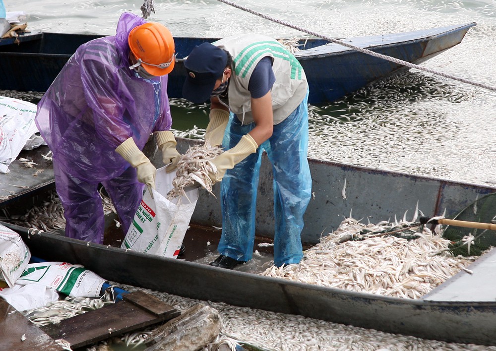 Hà Nội: Hơn 20 tấn cá chết tại hồ Tây được thu gom đưa đi xử lý tại bãi rác Nam Sơn - Ảnh 3.