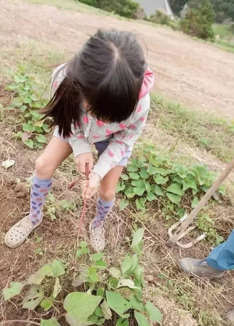 Nữ kỹ sư Nhật bỏ nhà phố, cùng gia đình về sống trong ngôi nhà nhỏ yên bình với vườn tược nơi thôn quê - Ảnh 13.