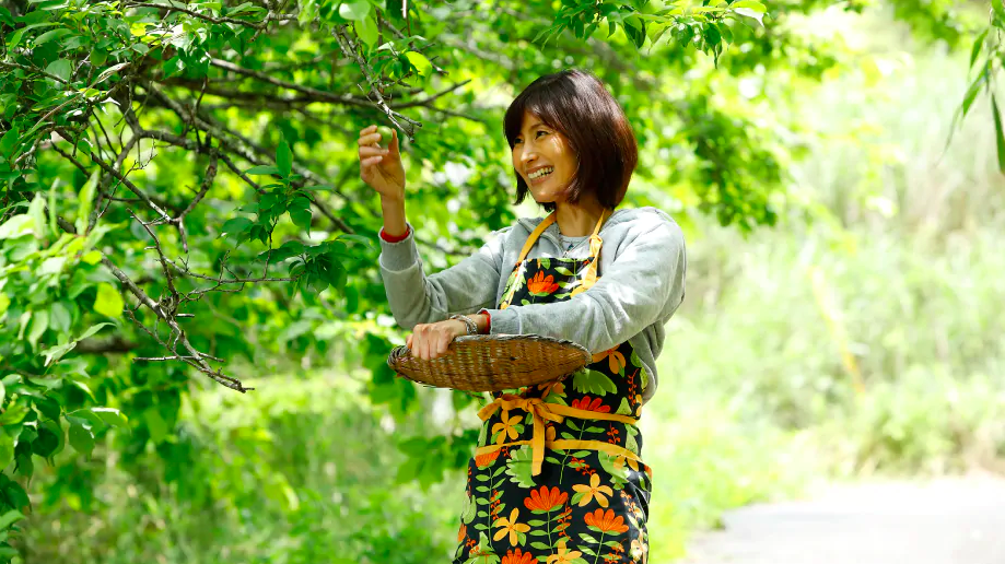 Nữ kỹ sư Nhật bỏ nhà phố, cùng gia đình về sống trong ngôi nhà nhỏ yên bình với vườn tược nơi thôn quê - Ảnh 9.