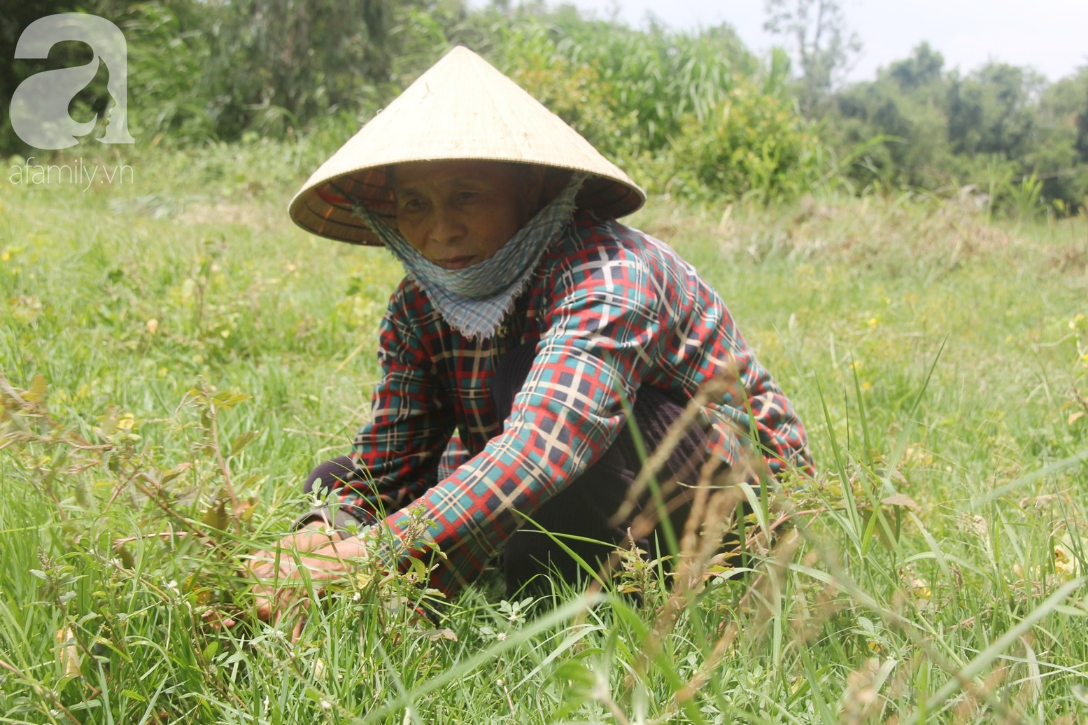 Rớt nước mắt cảnh vợ chồng già đi cắt cỏ thuê nuôi 4 con tâm thần, muốn ăn một bữa ngon rồi chết cùng con - Ảnh 12.