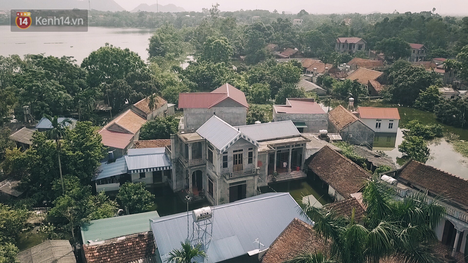 Những ngày lênh đênh ở Chương Mỹ: Trâu bò lặn ngụp, vịt trèo lên những mái nhà khi nước dâng đến tận nóc - Ảnh 1.