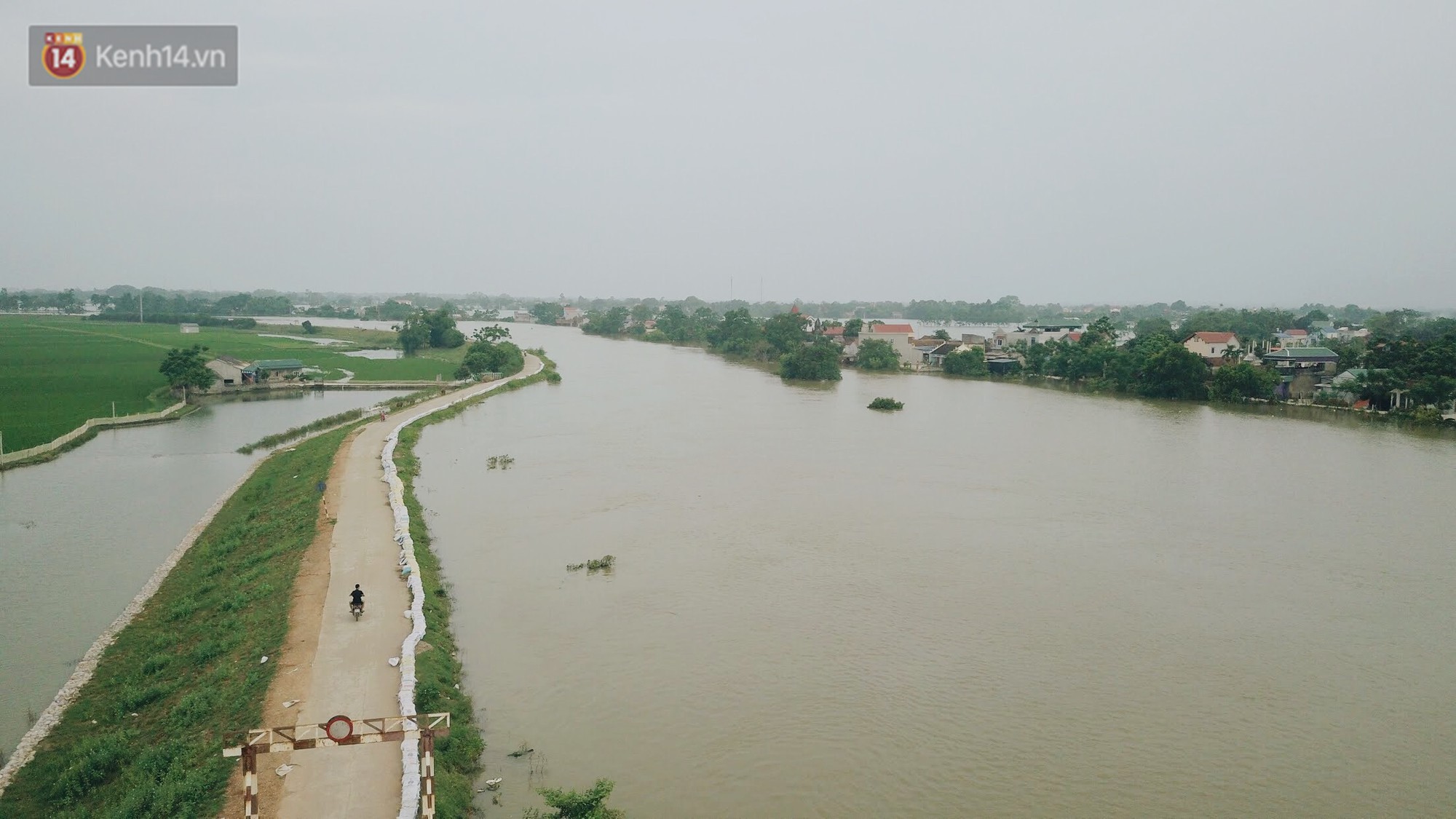 Những ngày lênh đênh ở Chương Mỹ: Trâu bò lặn ngụp, vịt trèo lên những mái nhà khi nước dâng đến tận nóc - Ảnh 14.