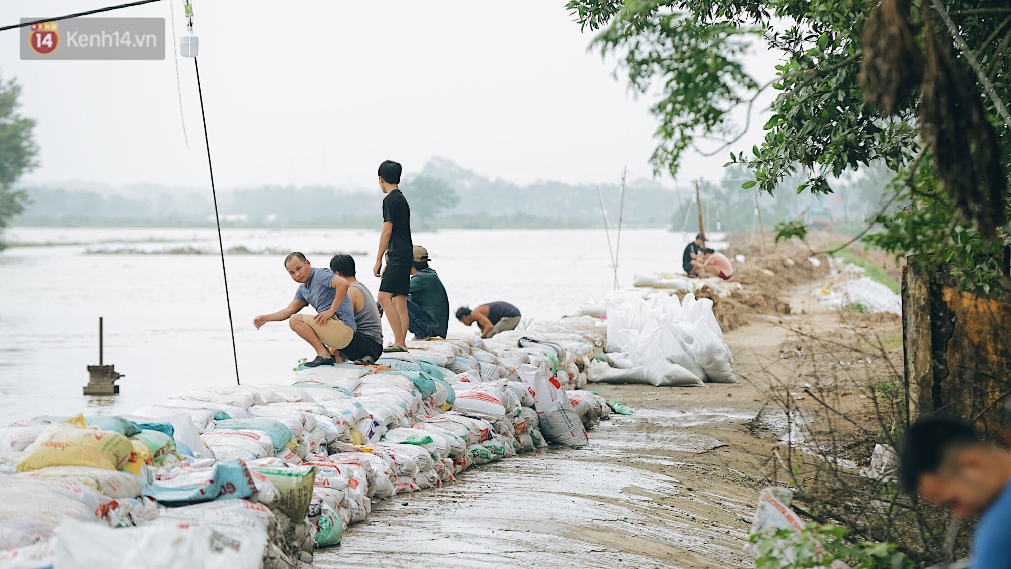 Những ngày lênh đênh ở Chương Mỹ: Trâu bò lặn ngụp, vịt trèo lên những mái nhà khi nước dâng đến tận nóc - Ảnh 8.