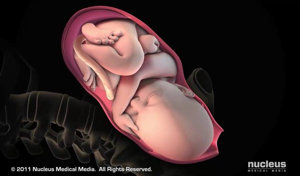 Clip: Xem 3 giai đoạn của quá trình sinh thường từ lúc bắt đầu chuyển dạ cho tới khi bé chào đời - Ảnh 4.