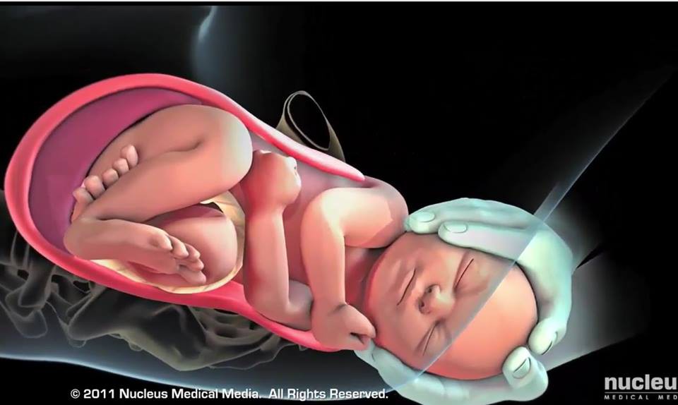 Clip: Xem 3 giai đoạn của quá trình sinh thường từ lúc bắt đầu chuyển dạ cho tới khi bé chào đời - Ảnh 5.