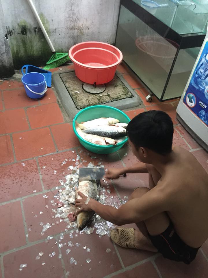 Mua từ chợ về nuôi để có cá sạch cho gia đình ăn cả tháng, chồng hô biến mâm cơm rặt cá chỉ sau một đêm - Ảnh 2.
