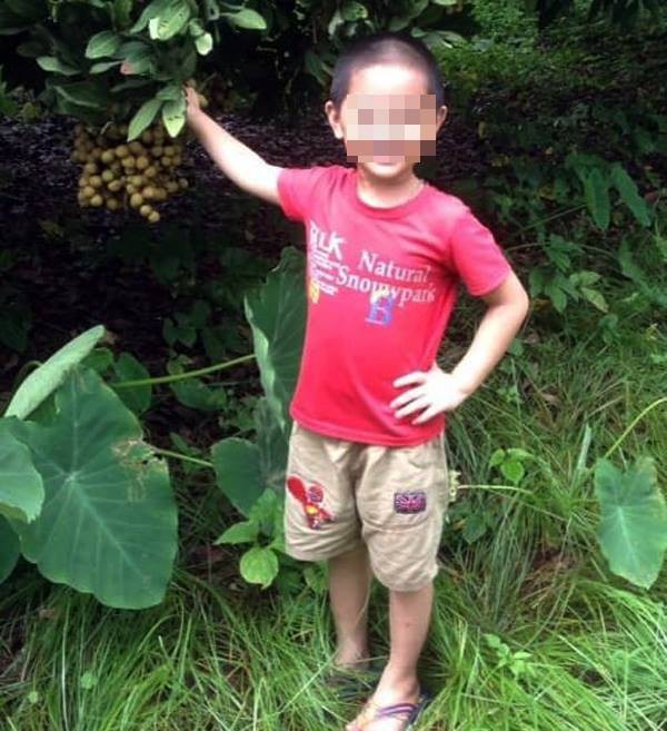 Phép màu đã không mỉm cười với cậu bé 7 tuổi bị nhiễm trùng máu, suy đa tạng ở Hà Nội - Ảnh 2. Phép màu đã không mỉm cười với cậu bé 7 tuổi bị nhiễm trùng máu, suy đa tạng ở Hà Nội - Ảnh 2.