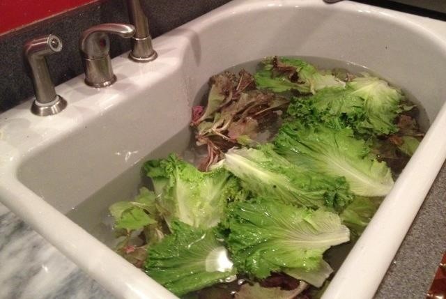 Japanese people revive withered vegetables and rejuvenate fresh fish by a simple water mix - Image 1.