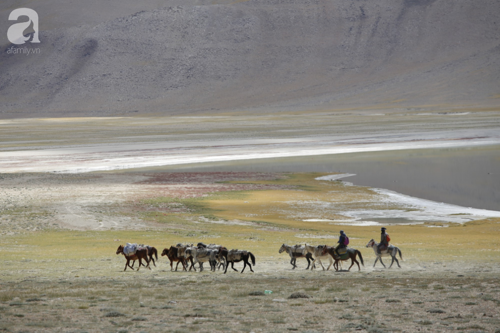 Muốn du lịch đến Tiểu Tây Tạng Ladakh, đây là những thứ dù thế nào cũng không thể thiếu, đặc biệt là số 4 - Ảnh 2.