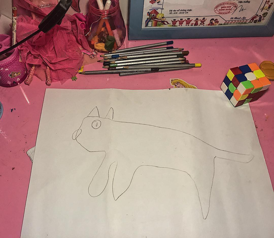 Góc sáng tạo: Được cô giáo giao bài tập vẽ con mèo, bé gái bê luôn boss nhà ra photo cho nhanh - Ảnh 2.