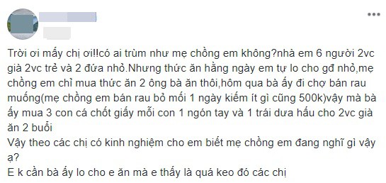 Nàng dâu ăn riêng vẫn chê mẹ chồng keo, cả ngày ăn 3 con cá bằng ngón tay, nhưng cách xưng hô của cô ấy mới đáng chú ý - Ảnh 1.