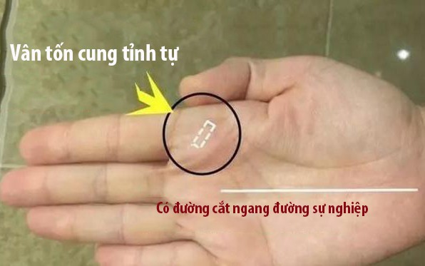 Mở tay xem thử, phụ nữ nào có đặc điểm này thì xác định tiền đã vào tay thì không có đường ra, cả đời sống giàu sang phú quý - Ảnh 3.