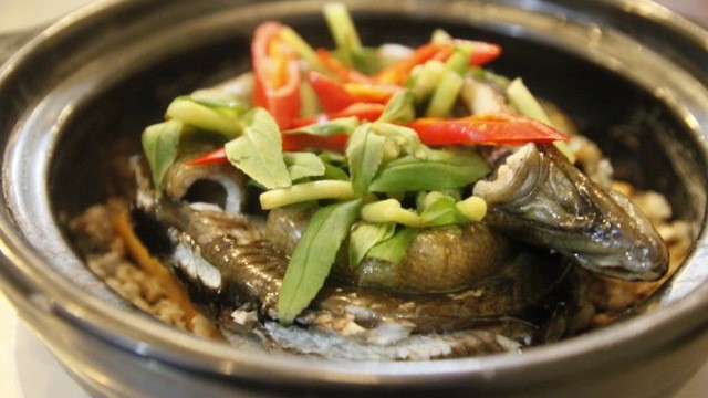Nhiều người vẫn ăn thịt lươn mà không biết rằng nó là sâm động vật - trong Đông y là thuốc quý như vàng nhờ những công dụng này - Ảnh 3.