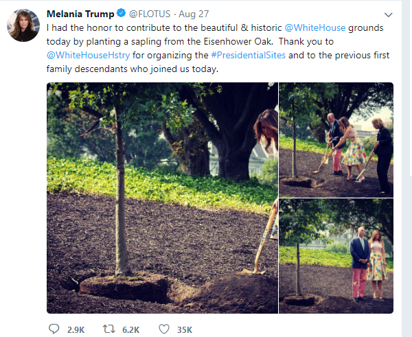 Trông rất quý phái nhưng bà Melania Trump diện chân váy bồng xòe rồi đi giày 10 phân để làm vườn thế này thì thật khó hiểu  - Ảnh 4.