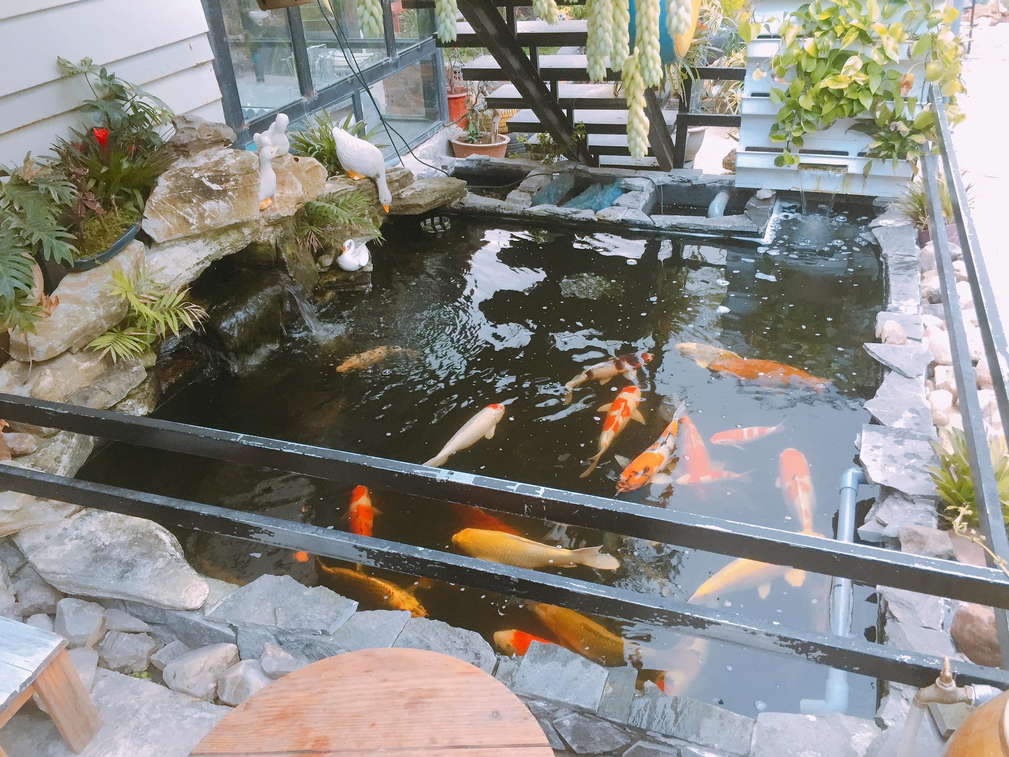 utopia đà lạt homestay & coffee bar utopia đà lạt homestay & coffee bar
