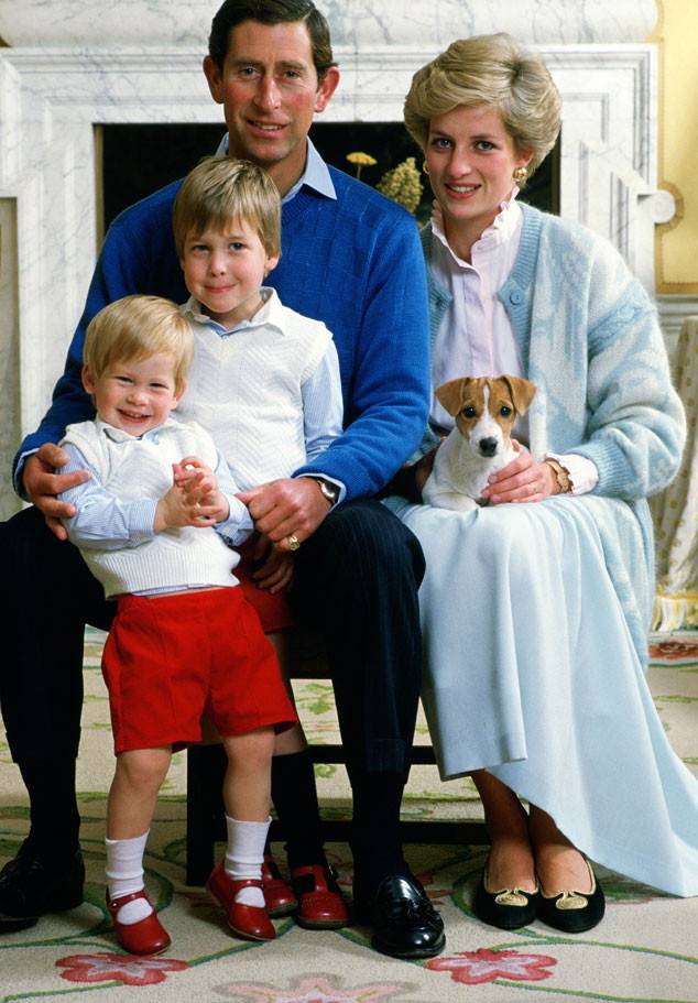 Công nương Diana: Tiếc cho cuộc đời lừng lẫy của bông hồng nước Anh, thất bại trong hôn nhân nhưng nguyện dành cả cuộc đời hết lòng vì con cái - Ảnh 5.