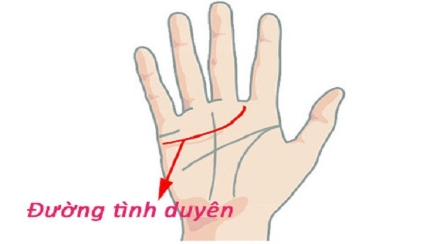 Những dấu hiệu trên bàn tay cho thấy bạn là người phụ nữ may mắn, có số lấy chồng giàu sang hưởng phúc cả đời - Ảnh 3. Những dấu hiệu trên bàn tay cho thấy bạn là người phụ nữ may mắn, có số lấy chồng giàu sang hưởng phúc cả đời - Ảnh 3.