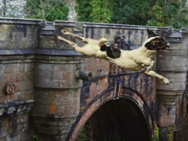 Giải mã bí ẩn cây cầu khiến hàng trăm con chó tự tử hàng loạt tại Scotland - Ảnh 2.